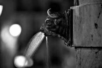 El Torico de Teruel con toros expulsando agua