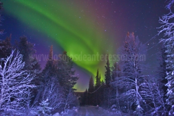 Aurora-boreal-por-un-camino-congelado-cerca-de-Rattama-en-el-norte-de-Finlandia